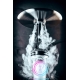 Ocean Hookah Mini Kaif S 2nd Edition Rock Steel Mint Chrome